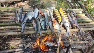 Rainforest Tours Peru