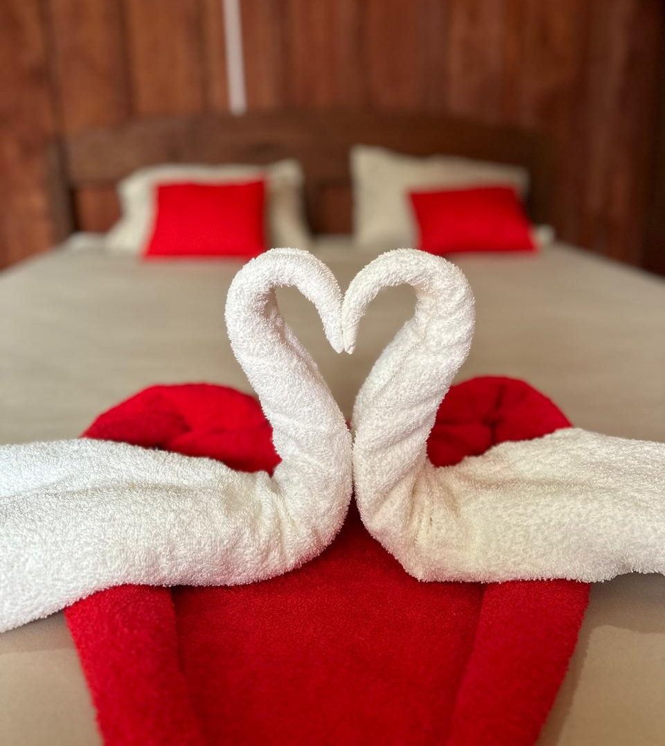 Amazon rainforest tour