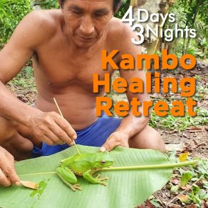 Kambo Healing Retreats 4 Days / 3 Nights