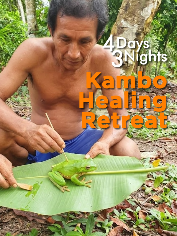 Kambo Healing Retreats 4 Days / 3 Nights